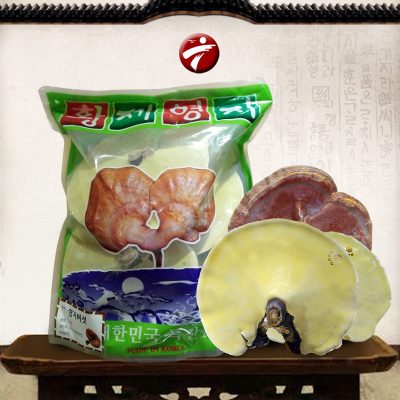 Nấm linh chi vàng Hàn Quốc